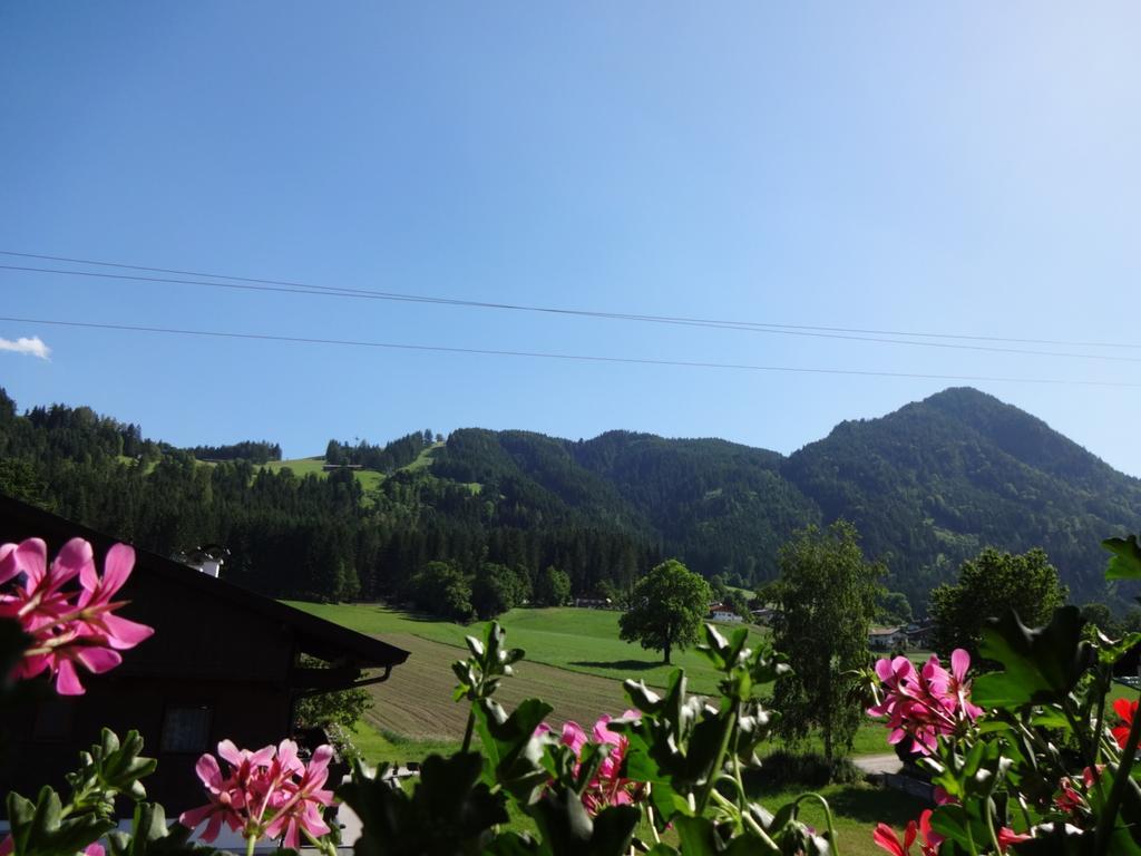 Haus Sylvia Apartment ไรท์ แอม อัลป์บาคทัล ห้อง รูปภาพ
